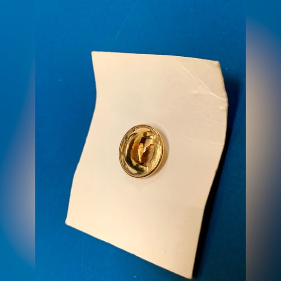 Rare Vintage STEIFF Black Cat Fraternal Order of Hoo-Hoo Germany Lapel Pin - Picture 7 of 9